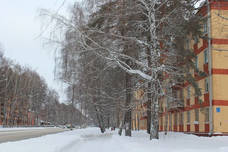 Morskoy Prospekt in winter, Akademgorodok, Novosibirsk